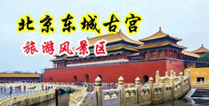 迷奸黑丝少妇中国北京-东城古宫旅游风景区